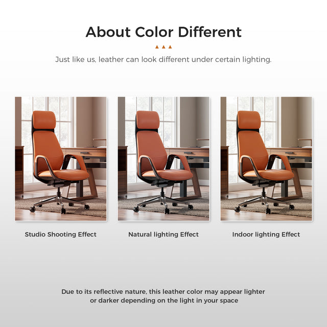 Eureka SERENE, Napa Leather Executive Office Chair