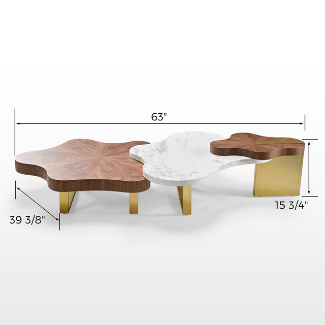 Eureka Cloud Shape Solid Wood Coffee Table Set