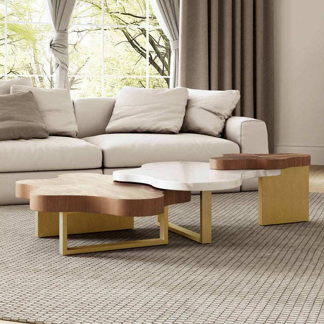 Eureka Cloud Shape Solid Wood Coffee Table Set