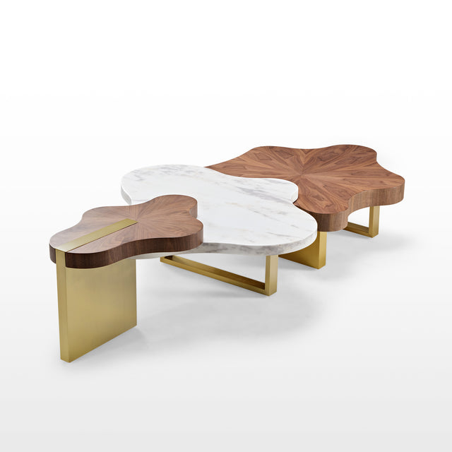 Eureka Cloud Shape Solid Wood Coffee Table Set