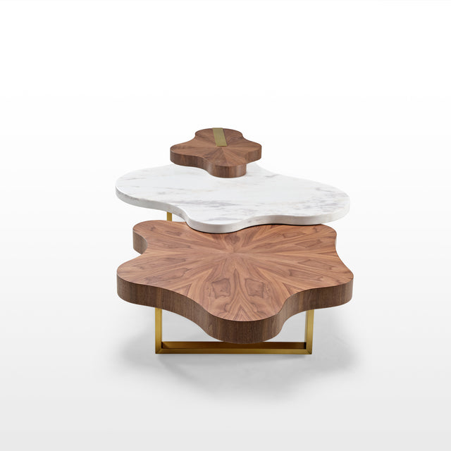 Eureka Cloud Shape Solid Wood Coffee Table Set